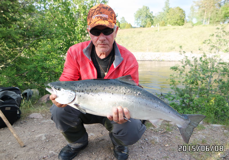 tobbe60