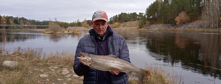 PB oring26