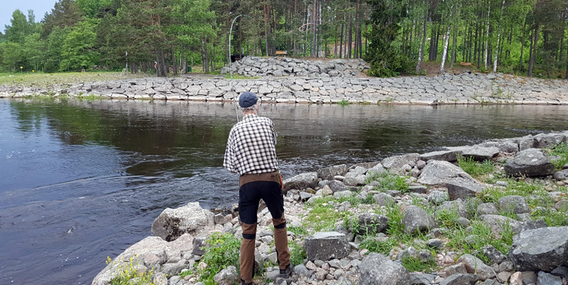 inloppet TomasL
